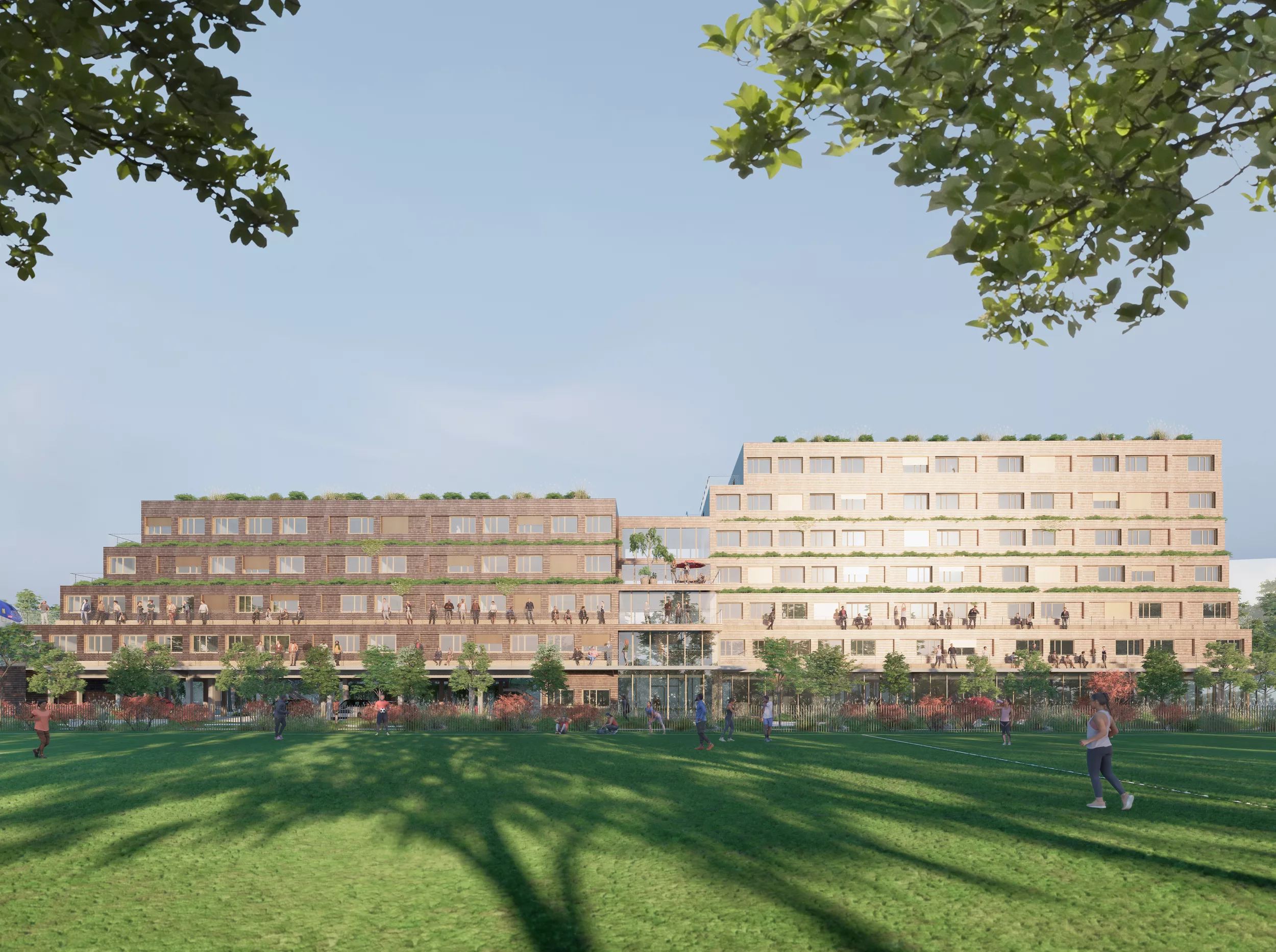 Persona grata - COVE Architectes